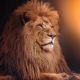 Parfum Sexy Lion