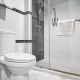 Nettoyeur sanitaire fort
